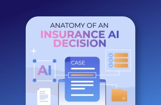 Anatomy of an Insurance AI Decision Anatomy of an Insurance AI Decision